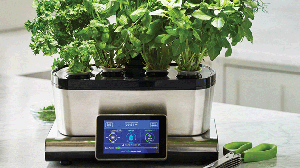 Indoor Garden