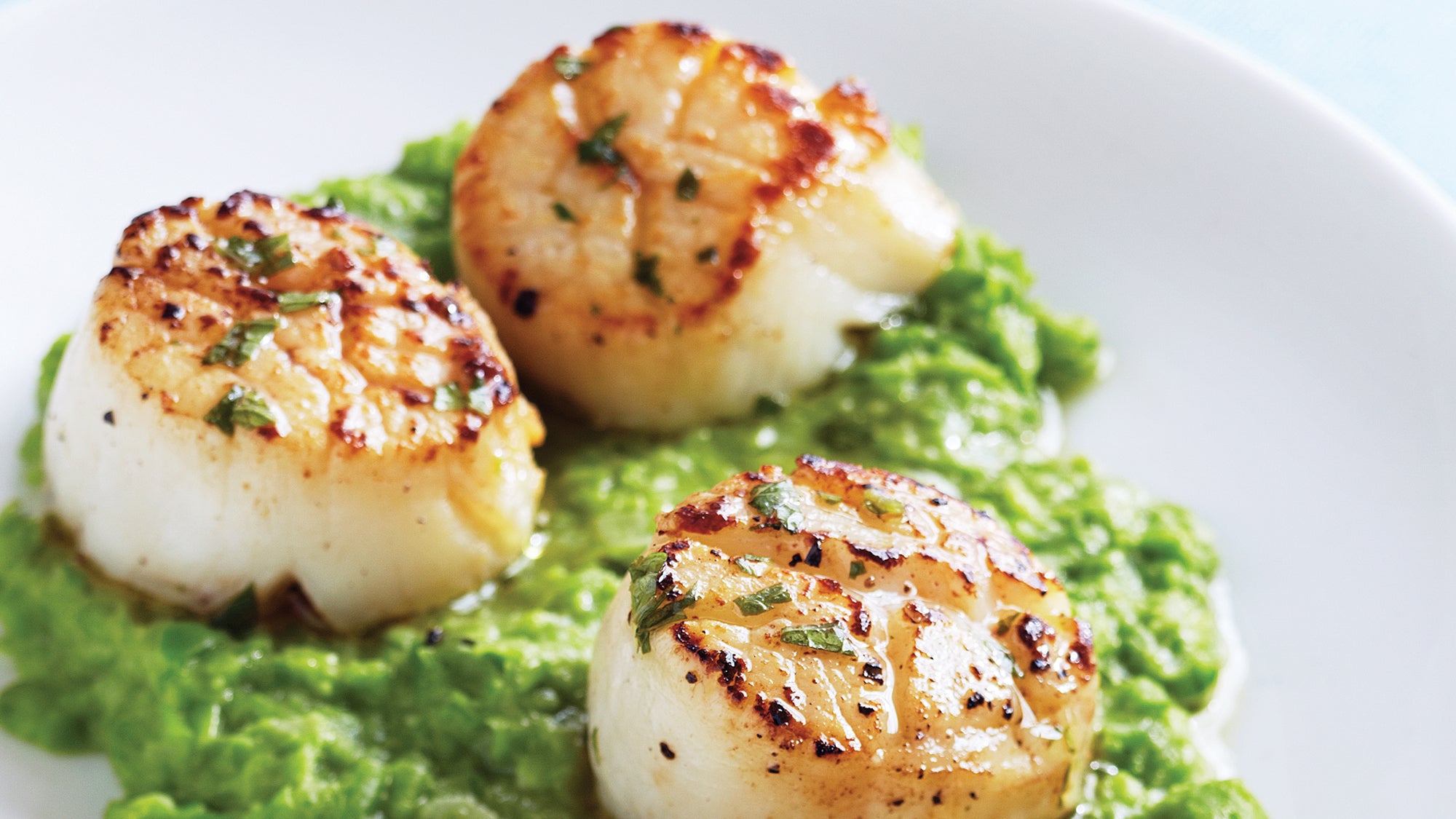Seared Scallops with Mint Vinaigrette & Green Pea Puree Seared Scallops with Mint Vinaigrette & Green Pea Puree recipe