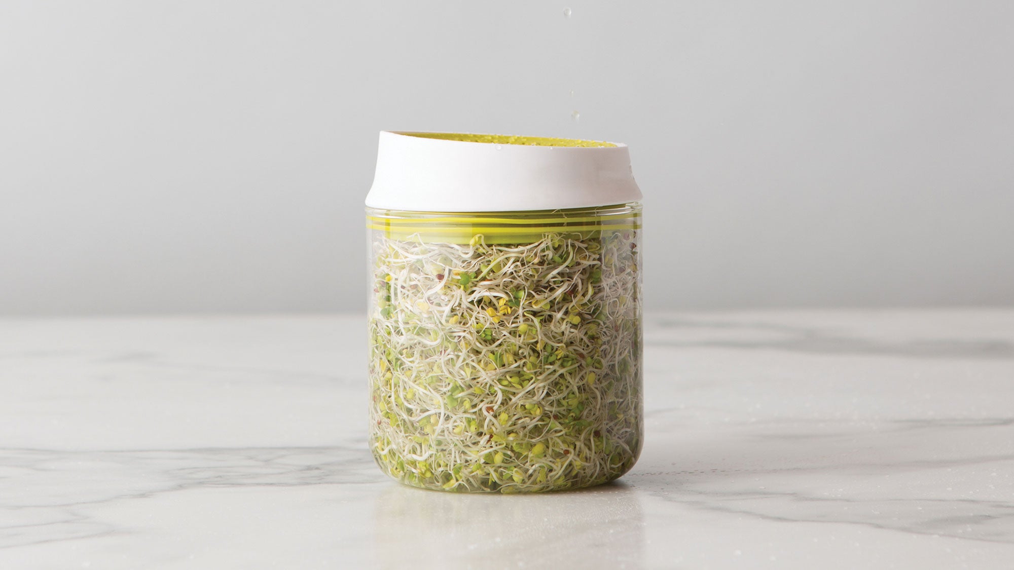 GEAR_Chefn-Countertop-Sprout-Growing-Kit_90-web None