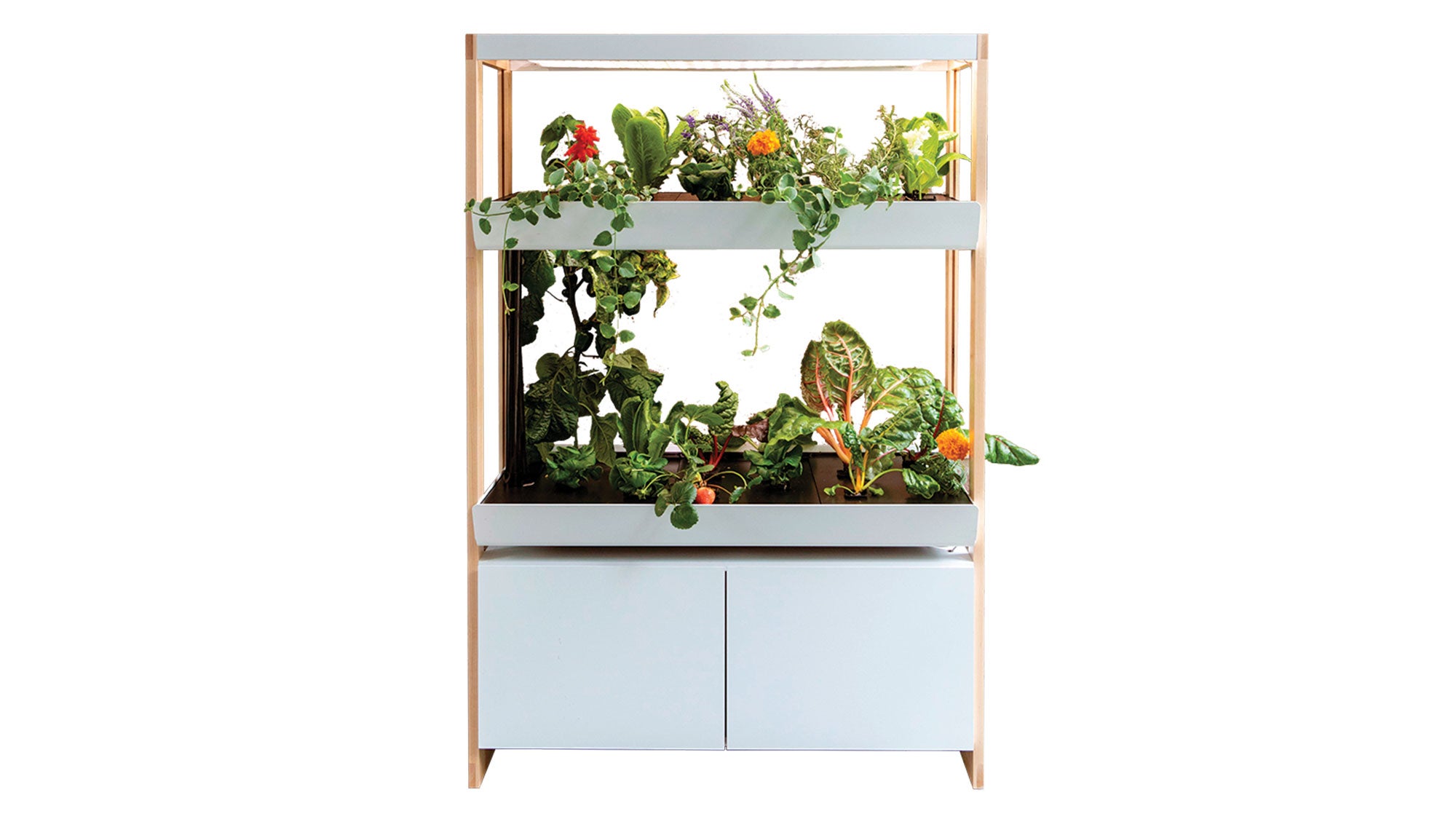 GIFT-GUIDE-Rise-Gardens_95-web None