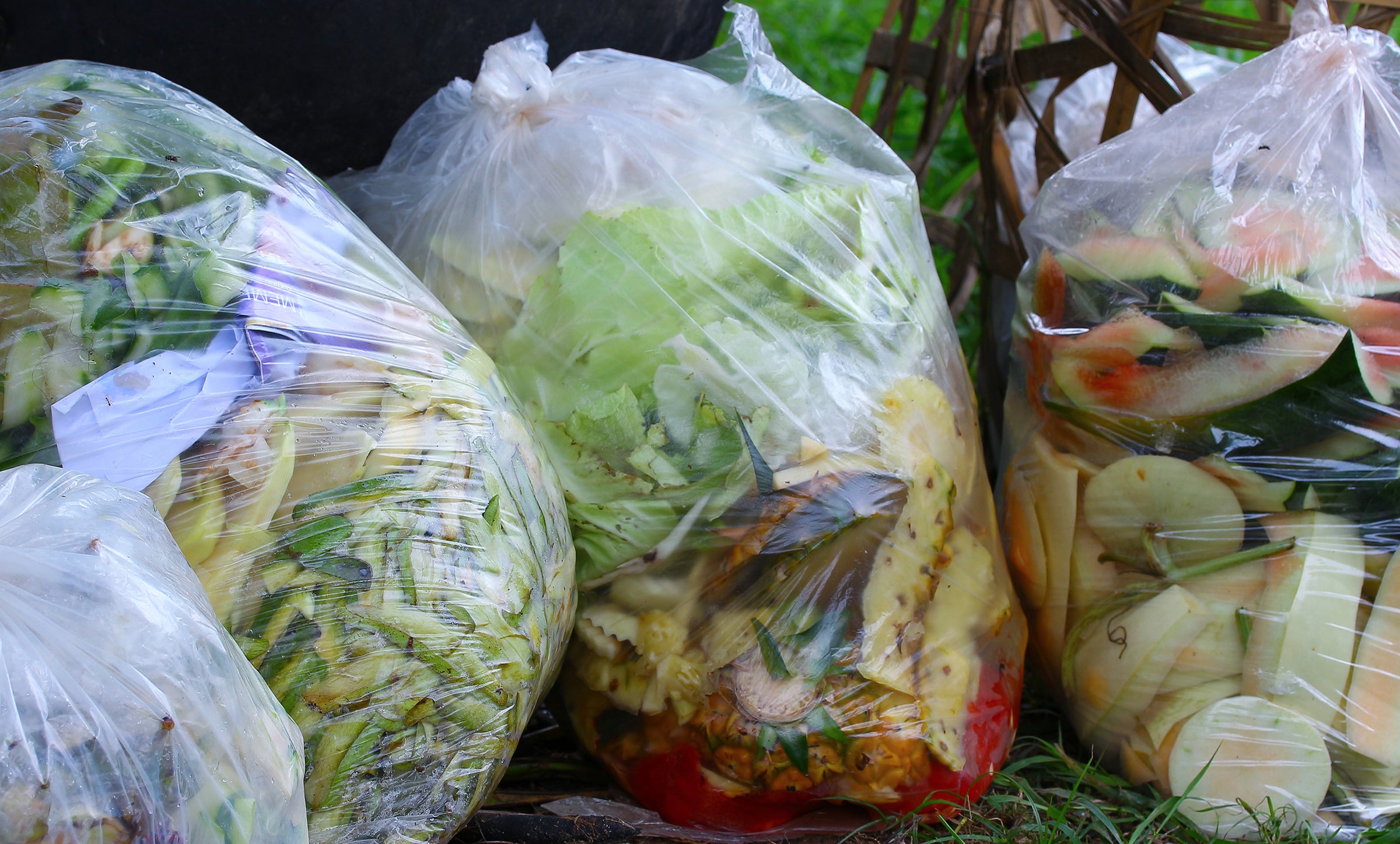 How to Outsmart Food Waste